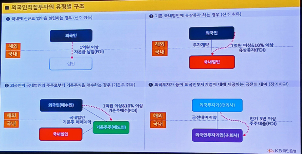 Diagram of the four foreign direct investment structures examined for D-8 visa approval